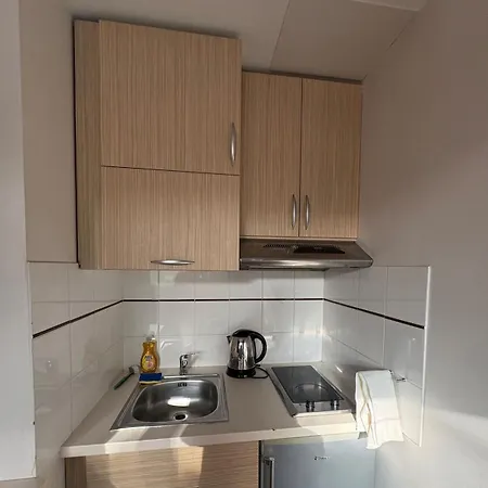 Appartement Lumineux Et Climatise Avec Parking Gratuit - Tramway Devant La - 114 Grenoble